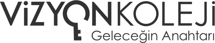 Vizyon Koleji